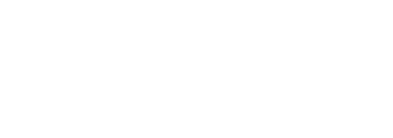 Lion Packaging