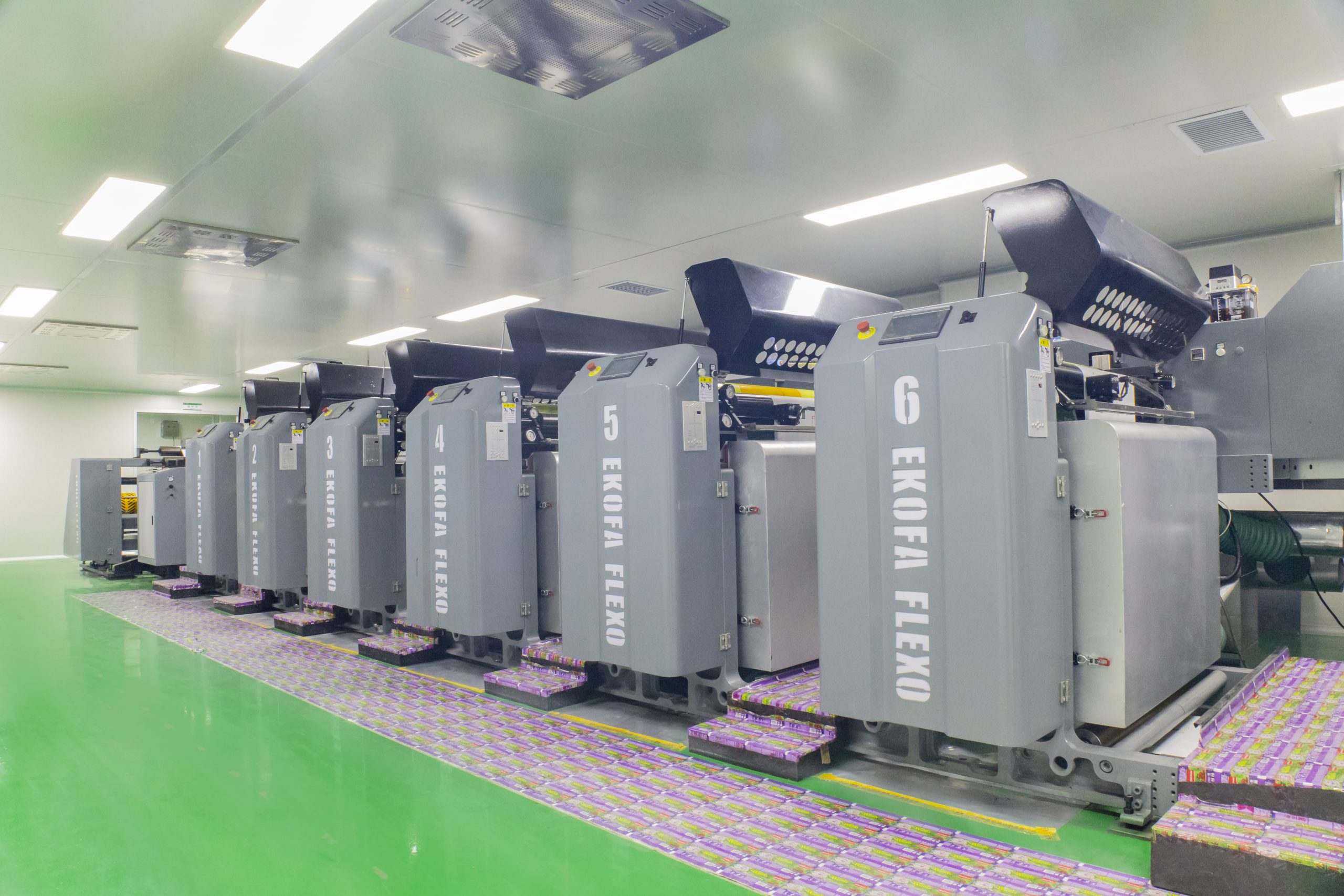 เครื่องจักรภายในโรงงานผลิตซองบรรจุภัณฑ์ Lion Packaging